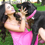 EMOSTAR Dog Paw Print Charms with Various Birthstone Crystals, 925 Sterling Silver Pawprint Beads for 3mm Snake Chain, Pet Lover Gifts for European Women Bracelet