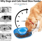Lick Mat for Small Dogs and Cats with Suction Cups, Silicone Slow Feeder Lick Pad with Collapsible Bowl for Anxiety Relief, Pet Puzzle Treat Mat for Bathing Grooming Trimming (Blue)