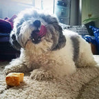 Yeti Refill Nuggets for Puff and Play Dog Toys - Natural Himalayan Yak Cheese Treats, Promotes Dental Health, Suitable for All Dogs, Ideal for Interactive Chew Toys and Dispensers, 30 Pieces, 14 Oz