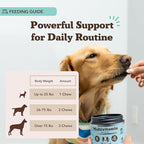 Natural Dog Company Vet Strength Multivitamin Chews for Dogs – Glucosamine, Omega-3 & Biotin for Dogs, Skin & Coat Health, Digestive Health, Immune Support Supplement, Advanced Formula, 90 cnt