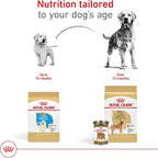 Royal Canin Golden Retriever Adult Dry Dog Food, 30 lb bag