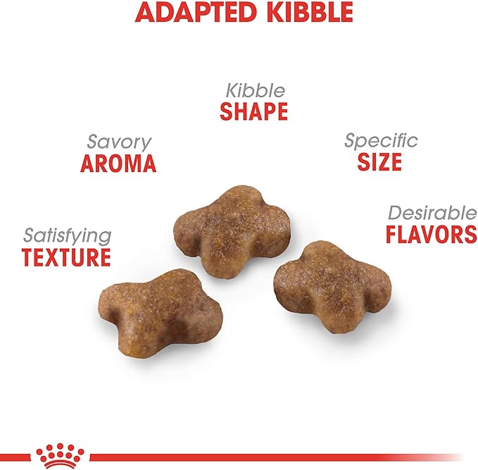 Royal Canin Feline Health Nutrition Dry Kitten Food, Supports Digestive Health, Immune Support and Healthy Energy, 14 lb Bag