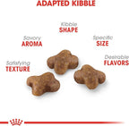 Royal Canin Feline Health Nutrition Dry Kitten Food, Supports Digestive Health, Immune Support and Healthy Energy, 14 lb Bag