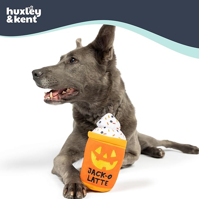 Huxley & Kent Halloween Funny Dog Toy w/Squeaker – Power Plush Squeaky Dog Toys for Small, Medium & Large Dogs – Soft Stuffed Animal for Indoor Play & Fetch - Jack-O-Latte, One Size
