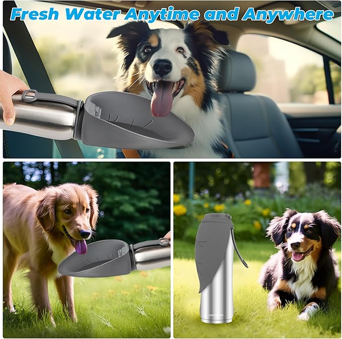 URPOWER 27 Oz Large Dog Water Bottle, Double Wall Insulated Stainless Steel Dog Travel Water Bottle Leak Proof Portable Pet Water Dispenser BPA-Free Drinking Bowl for Dog Outdoor Walking, Hiking