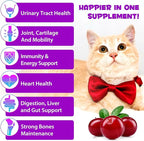 15-in-1 Multivitamin Drops for Cats - Immune Support, Skin & Coat Health, Digestion, Joint Care - with Vitamins A, B, C, D, E - Liquid Supplement for All Life Stages, 2 fl.oz/60ml, 2 Pack