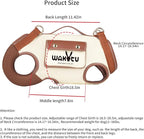 Dog Lift Harness Dog Carrier VES Harness Adjustable Leash with Small Puppy Treat Bag,Fits Most Cars,L