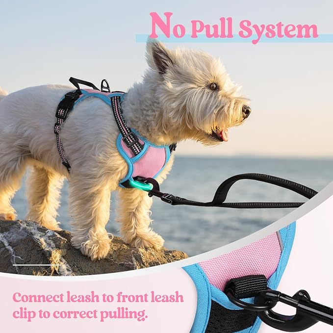 rabbitgoo Dog Harness No Pull with 2 Leash Clips, Adjustable Soft Padded, Reflective Oxford No Choke Pet Vest with Easy Control Handle for Puppy, Pink & Blue, XS