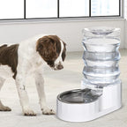 RIZZARI Automatic Gravity Pet Waterer: 7L White Stainless Steel Water Dispenser - 100% BPA-Free - Large Capacity Water Feeder for Cats and Small and Medium-Sized Dogs