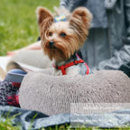 Extra Small Dog Bed Cute Grey Dog Bed Washable 19 inches Donut Fluffy Small Pet Beds,Calming Anti Anxiety Round Fits up to 10 lbs Soft Warm Pets Beds for Puppy Dogs Indoor