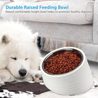Tilted Angle Dog Bowl, 15° Slanted Stainless Steel Dog Cat Food Bowl, Non-Slip & Non-Spill Pet Feeder with Elevated Detachable Melamine Stand, Easy to Get Food Dish, Large 2 Cup White