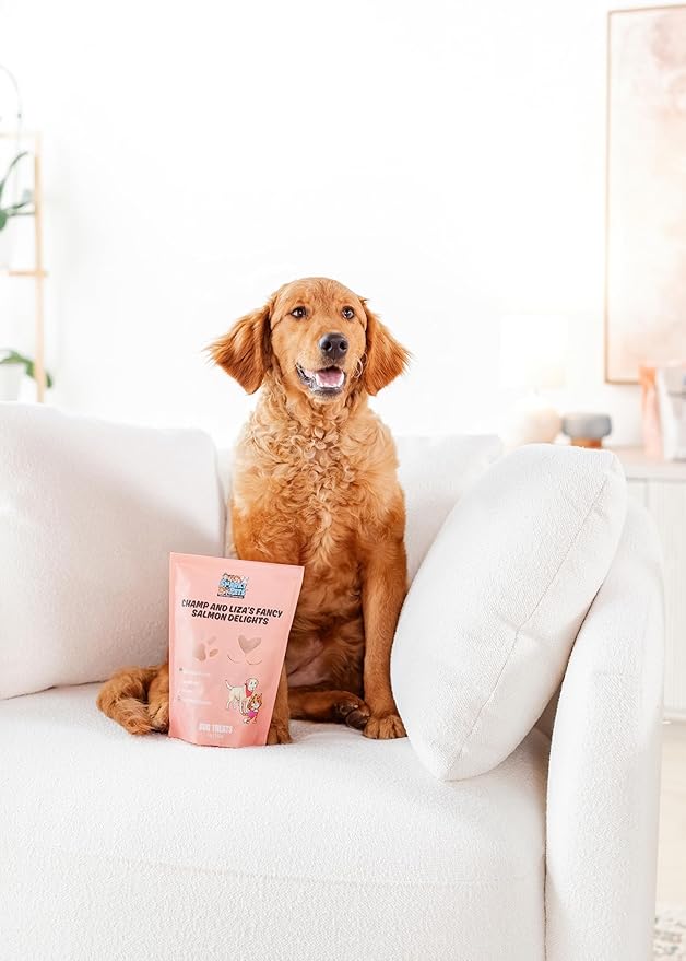 Champ and Liza’s Fancy Salmon Delights – Freeze-Dried Wild-Caught Salmon Treats for Dogs & Cats – USDC-Inspected, Grain-Free, No Preservatives, Omega-3 Rich, Natural Snacks – 4 oz