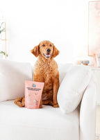 Champ and Liza’s Fancy Salmon Delights – Freeze-Dried Wild-Caught Salmon Treats for Dogs & Cats – USDC-Inspected, Grain-Free, No Preservatives, Omega-3 Rich, Natural Snacks – 4 oz