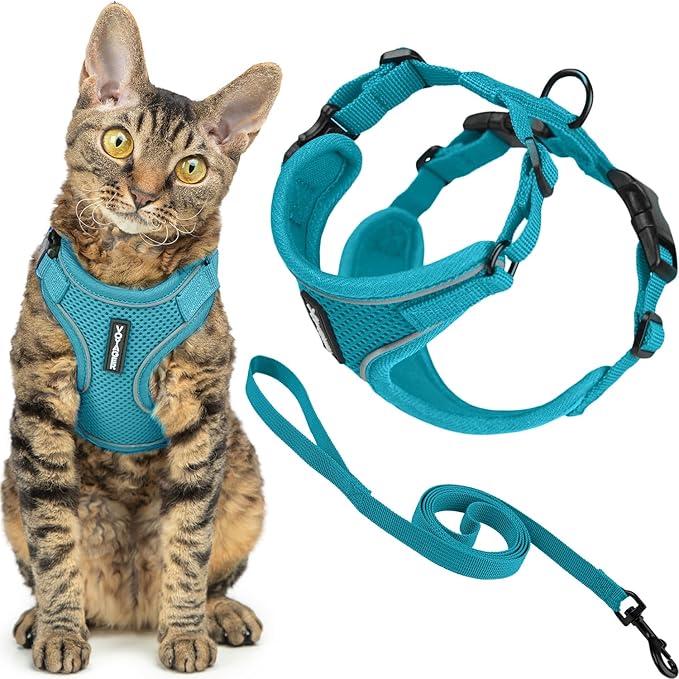 Voyager Escape-Proof Step-in Lock Cat Harness & 5ft Neoprene-Handle Leash Set All-Weather Mesh with Reflective Stitching for Small to Large Cats by Best Pet Supplies, Turquoise (327), XXS
