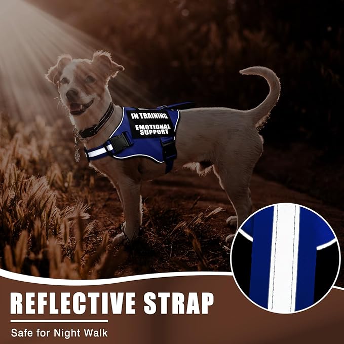 Service Dog Vest Harness+ID Tag+10 Patches,Metal Serivce Dog Tag&Reflective Emotional Support Dog Vest with Handle for Small Dogs,Easy Put On/Off for Training/Walking/Everyday Blue XS