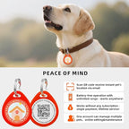 2 Pack Personalized Dog Tags,QR Code Pet ID Tags with Online Profile systerm,Editable Any Names and Phone numbles,Blue&Pink,L