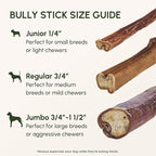 Downtown Pet Supply 6-inch Bully Sticks for Dogs, Pack of 18 - Single Ingredient, Nutrient-Rich and Odor Free Bully Sticks for Dogs - Rawhide Free Dog Chews Long Lasting and Non-Splintering