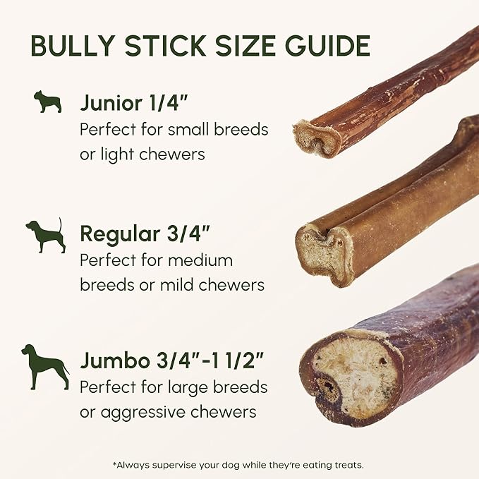 Downtown Pet Supply 6-inch Bully Sticks for Dogs, Pack of 48 - Single Ingredient, Nutrient-Rich and Odor Free Bully Sticks for Dogs - Rawhide Free Dog Chews Long Lasting and Non-Splintering