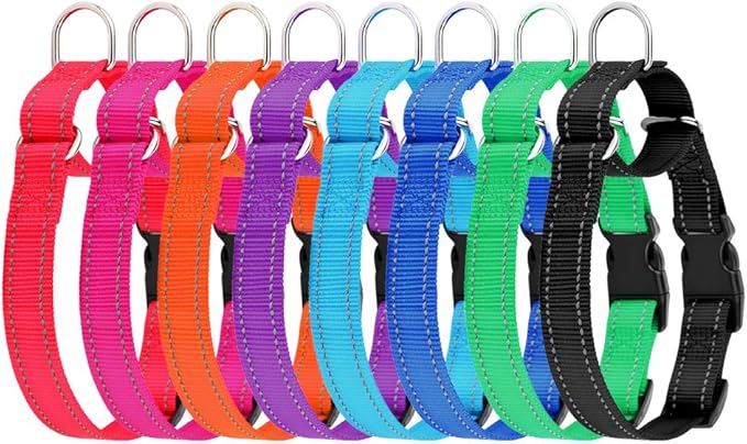 Plutus Pet Reflective Martingale Collar with Buckle - Durable and Adjustable Training Collar for No Pulling, Dog Choker Collar for Small Medium Large Dogs, Gray, S