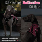 rabbitgoo Escape Proof Dog Harness Large Dogs, Soft Padded Full Body Pet Harness, Reflective Adjustable No Pull Vest with Lift Handle and Leash Clip for Walking Hiking, Light Pink, XL