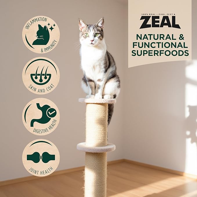 ZEAL Canada Air-Dried Cat Food Chicken Recipe - High Protein, Natural Superfoods, Nutrient Rich, No Fillers, Grain Free, Complete & Balanced (Chicken, 14.1 oz)