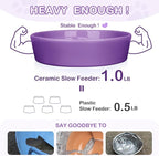 TRUVIC Ceramic Slow Feeder Dog Bowls Small Breed, 0.6 Cup Slow Feeder Cat Bowls for Fast Eaters, Ceramic Dog Food Dish no Black Chin, Puzzle Bowl for Small Dogs and Cats, Purple