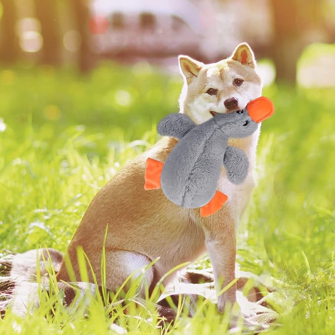 EXPAWLORER Plush Squeaky Duck Dog Toy - Soft Stuffed Cute Duck, Best Birthday Gift Interactive Filled Chew Toys for Small Medium Large Dogs Puppy Biting Training Teething, Grey