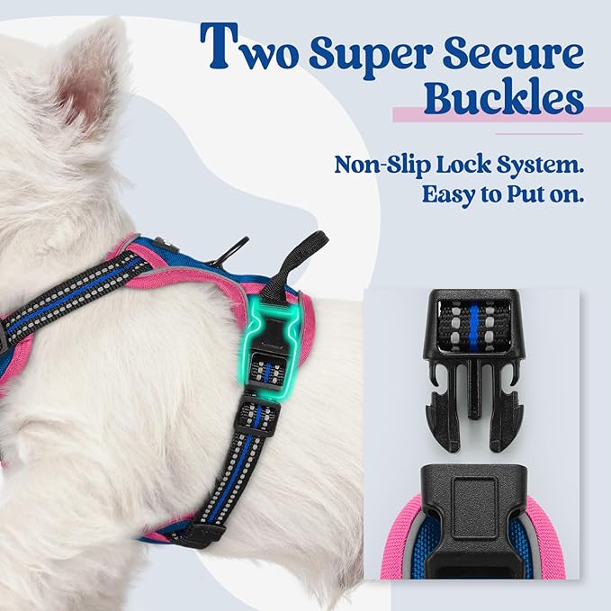 rabbitgoo Dog Harness No Pull with 2 Leash Clips, Adjustable Soft Padded, Reflective Oxford No Choke Pet Vest with Easy Control Handle for Large Dogs, Blue & Hot Pink, XS