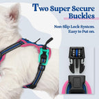 rabbitgoo Dog Harness No Pull with 2 Leash Clips, Adjustable Soft Padded, Reflective Oxford No Choke Pet Vest with Easy Control Handle for Large Dogs, Blue & Hot Pink, XS