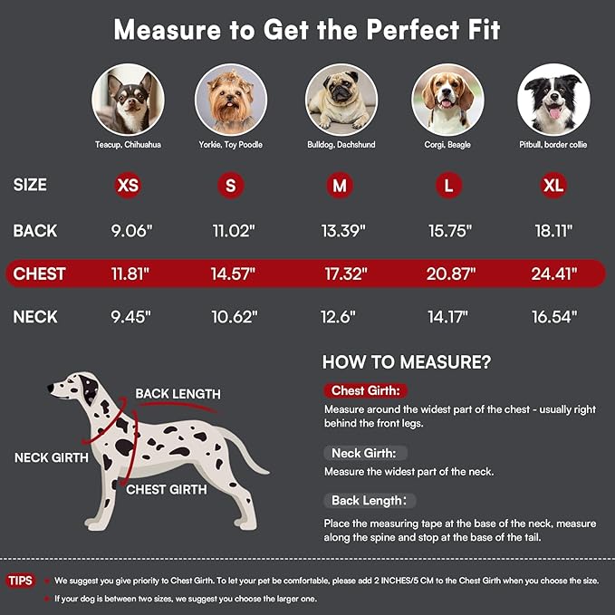 Queenmore Medium Dog Sweater,Dog Sweater for Medium Dogs Boys Girls,Christmas Sweaters for Dogs,DogSweater Knitwear Outfit,Thick Warm Pet Clothes for French Bulldog,Boston Terrier(Red,M)