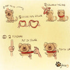 Hyhug Martingale Collar for Dogs Large Green |Escape - Proof Heavy Duty Nylon Durable No Pull, Ideal for Training & Daily Walks