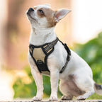 rabbitgoo Dog Harness No Pull with 2 Leash Clips, Adjustable Soft Padded, Reflective Oxford No Choke Pet Vest with Easy Control Handle for Puppy, Beige, XS