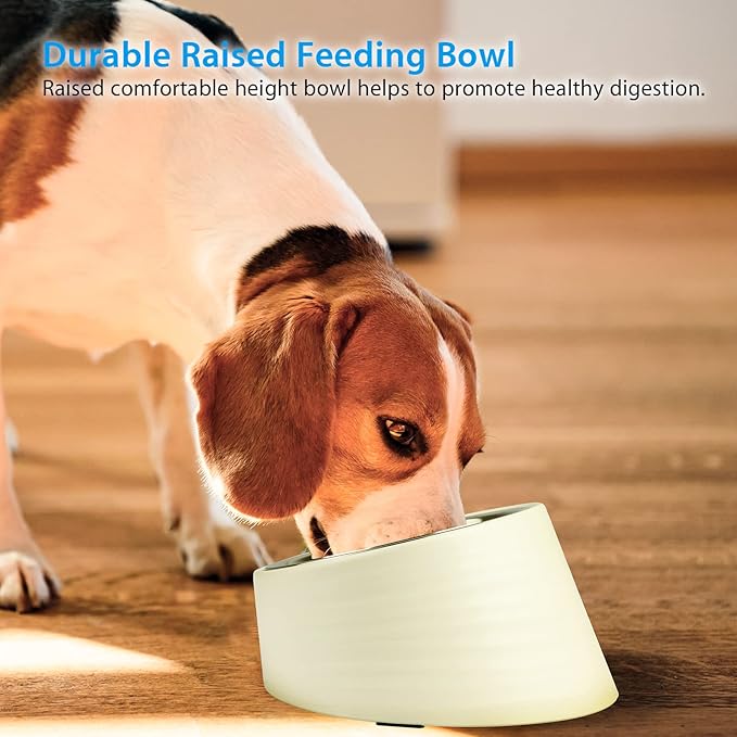 Tilted Slanted Dog Bowl 1 Cup, 15° Tilted Stainless Steel Dog Cat Food Bowl, Non-Slip & Non-Spill Pet Feeder with Elevated Detachable Melamine Stand, Easy to Get Food Dish, Medium White