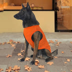 2 Pack Dog Shirts, Breathable Mesh Dog Clothes Pet Sleeveless Vest, Lightweight Stretchy Tank Top T-Shirts for Large Dogs, M