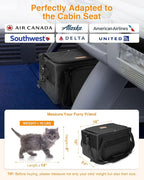 PETUX Small Cat Carrier - Pet Carrier Airline Approved for Kitten Under 10 lb - Escape-Proof, Foldable & Portable Cat Carriers for Travel, Vet Visits with Removable Bag, Safety Buckle ＆ Leash - Black