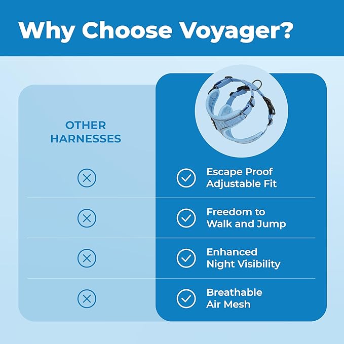 Voyager Escape-Proof Step-in Lock Cat Harness & 5ft Neoprene-Handle Leash Set All-Weather Mesh with Reflective Stitching for Small to Large Cats by Best Pet Supplies, Baby Blue (327), XS