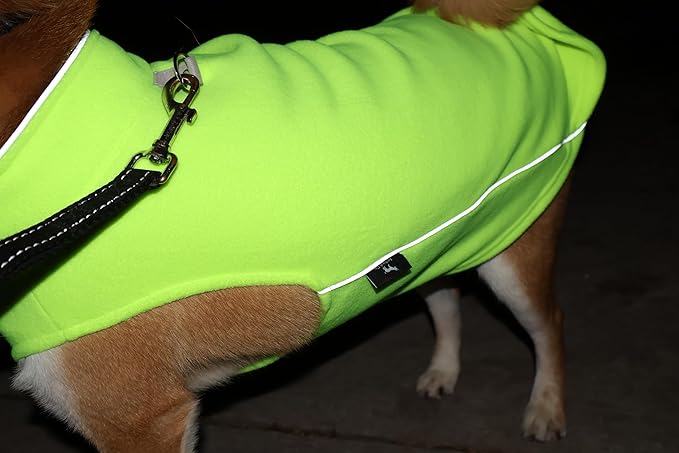 JACKO & CO - Fleece Vest Sweater with Leash Ring - Soft Lightweight Breathable for Puppies Small Medium Dogs, Kitten, Cats, Chihuahua - Warm for Fall/Autumn/Winter (Lime Green, Small 4-6lbs)