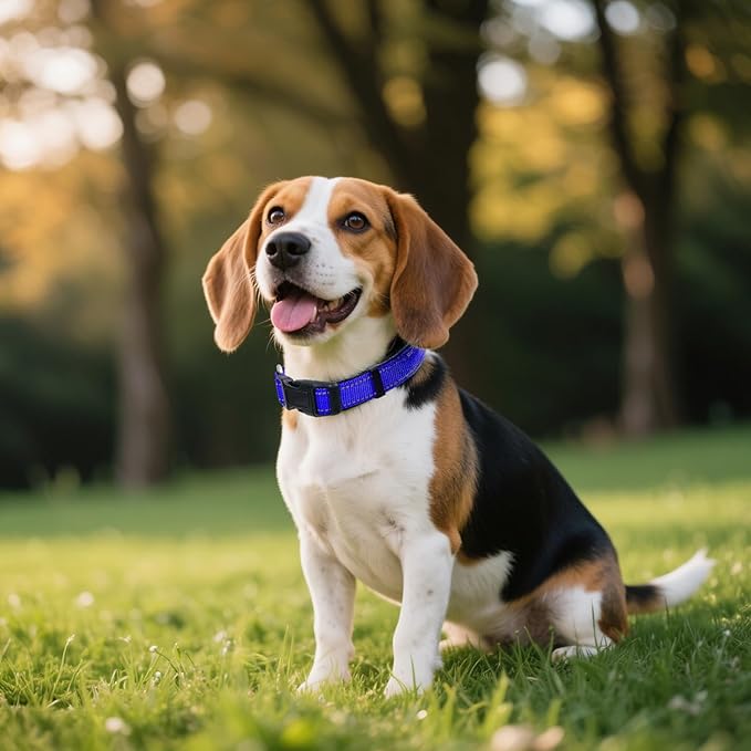 Reflective Dog Collar, Soft Neoprene Padded Nylon Pet Collar with Quick-Release Buckle, Adjustable for Mediunm Dogs,Navy Blue,M, 1" Width