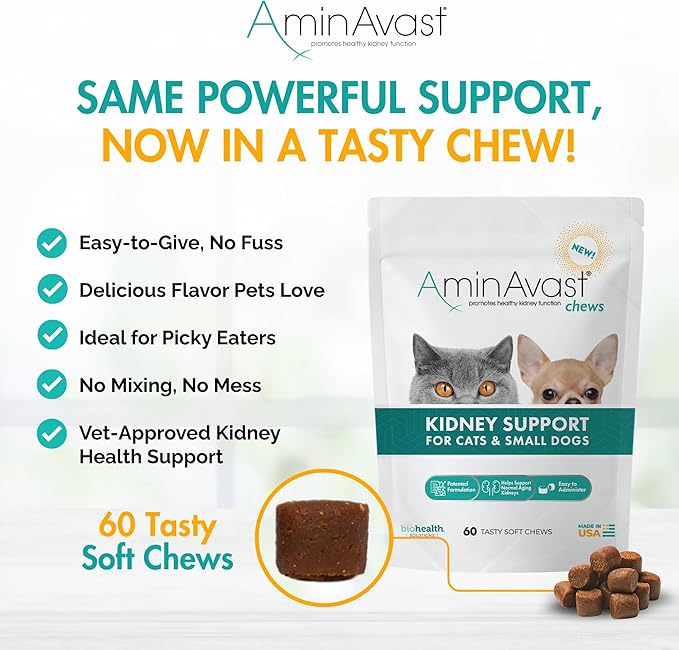 AminAvast Small Dogs & Cat Kidney Support - Promotes Healthy Kidney Support in Cats & Small Dogs - 300mg (60 Chews)