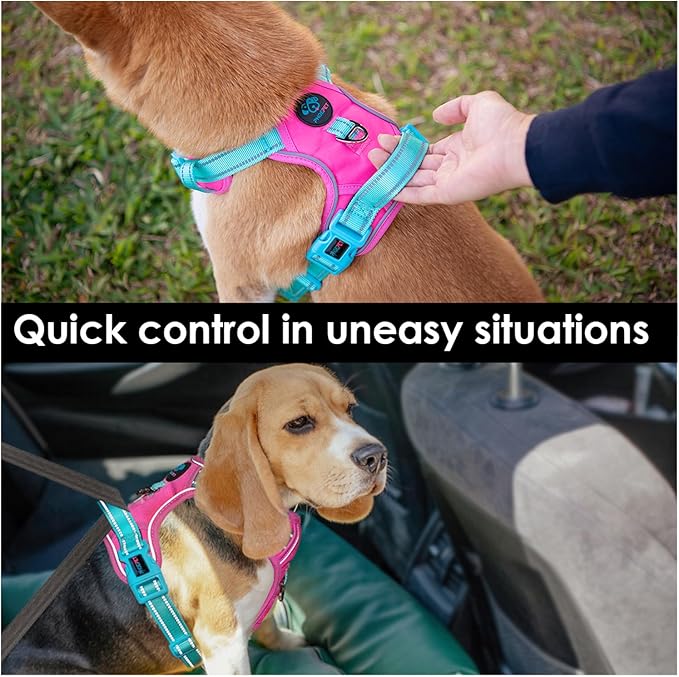 PHOEPET No Pull Dog Harness, Unique Colors Reflective Adjustable Dog Vest, with Soft Training Handle Metal Clips for Small Medium Large Dogs (Pink Base & Green Straps,S)