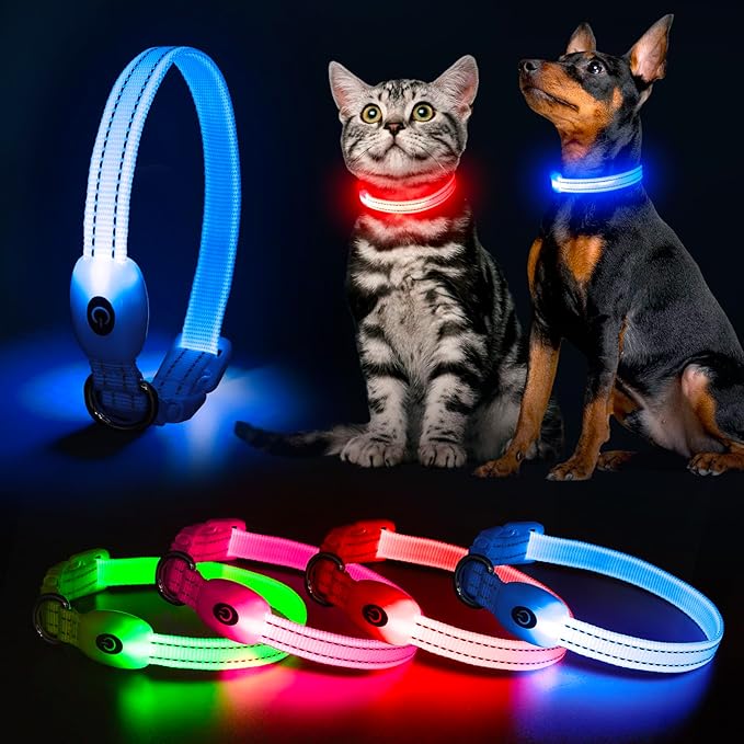 YFbrite LED Dog Collar XS, Lightweight Cat Collar Light, Comfortable Light Up Puppy Collars, USB Rechargeable Adjustable Puppy Walking Safety Light (Blue, XS)