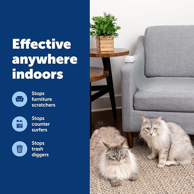 PetSafe ScatMat Indoor Training Mat