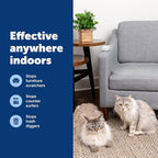 PetSafe ScatMat Indoor Training Mat