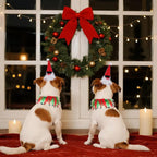 2Pcs Dog Santa Hat and Tutu Collar Set, Pet Cat & Small Dog Christmas Outfit Costume for Xmas Holiday Birthday Party