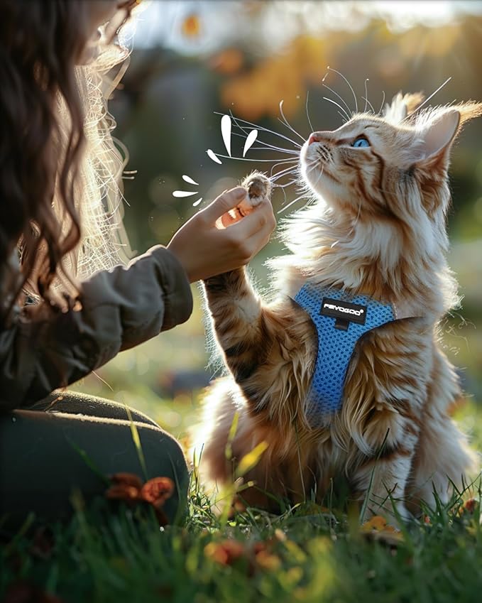 FAYOGOO Cat Harness, Cat Leash and Harness Set for Walking Escape Proof, Harness for Small Cats/Small Dogs, Large Kitten/Puppy Harness and Leash, Harness for Cats S-XXL(Tranquil Teal, XX-Large)