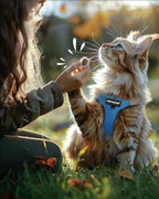 FAYOGOO Cat Harness, Cat Leash and Harness Set for Walking Escape Proof, Harness for Small Cats/Small Dogs, Large Kitten/Puppy Harness and Leash, Harness for Cats S-XXL(Tranquil Teal, XX-Large)