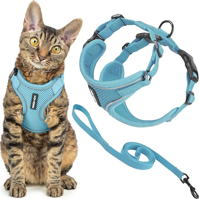 Voyager Escape-Proof Step-in Lock Cat Harness & 5ft Neoprene-Handle Leash Set All-Weather Mesh with Reflective Stitching for Small to Large Cats by Best Pet Supplies, Baby Blue (327), XXXS
