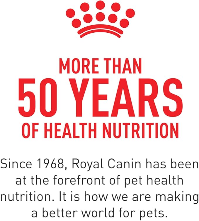 Royal Canin Feline Health Nutrition Dry Kitten Food, Supports Digestive Health, Immune Support and Healthy Energy, 14 lb Bag
