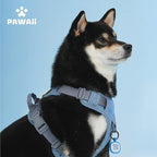 Pawaii No Pull Dog Harness with Pet ID Tag,Reflective Strips No Choke Front O Ring Breathable Mesh Adjustable Soft Padded Pet Vest with Easy Control Handle for Small Dogs