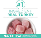 Purina ONE Sensitive Stomach, Sensitive Skin, Natural Dry Cat Food, +Plus Sensitive Skin and Stomach Formula - 22 lb. Bag